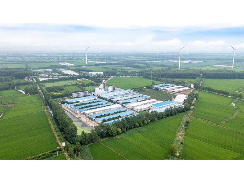 2023年中央一號文件出爐，畜禽產(chǎn)業(yè)應(yīng)抓住哪些新機遇？