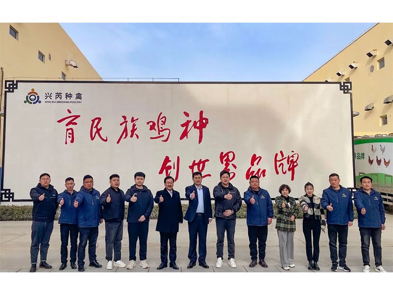 參觀學(xué)習(xí)促進步 交流合作贏發(fā)展︱卓一牧業(yè)赴興芮種禽、峪口禽業(yè)與瑞普生物參觀訪學(xué)