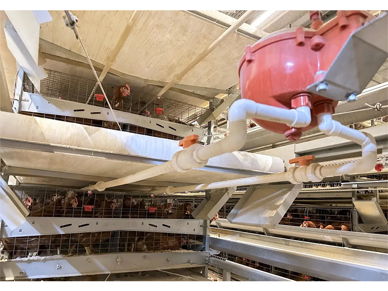 養(yǎng)殖場如何做到飲水安全？