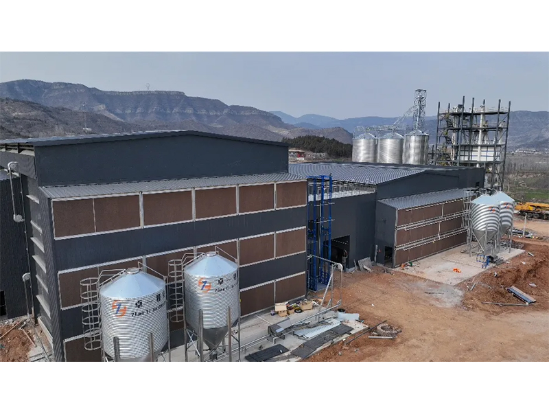 夏季養(yǎng)雞僅關(guān)注溫度環(huán)境？飼料安全須高度重視！