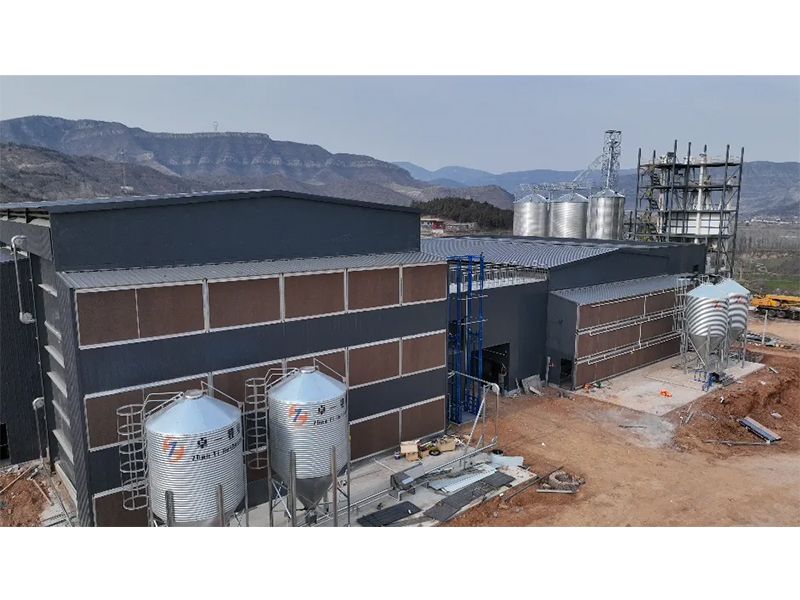 夏季養(yǎng)雞僅關(guān)注溫度環(huán)境？飼料安全須高度重視！