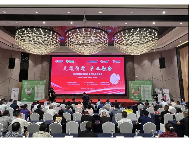 熱烈祝賀湖南規(guī)?；半u企業(yè)CEO高峰論壇取得圓滿成功！