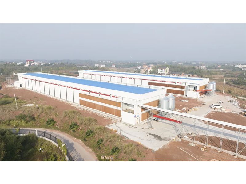 熱烈祝賀西南地區(qū)300萬羽蛋雞養(yǎng)殖基地驗收成功，上雞大吉！