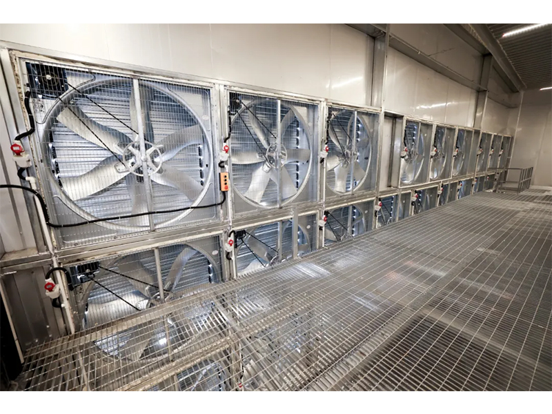 春夏氣溫驟升之際，雞舍應該采取哪些應對措施？