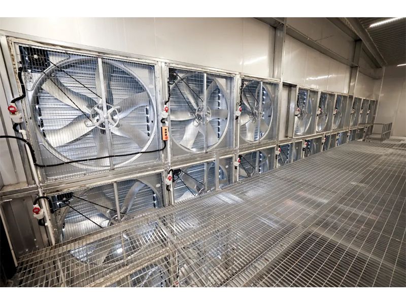 春夏氣溫驟升之際，雞舍應(yīng)該采取哪些應(yīng)對措施？