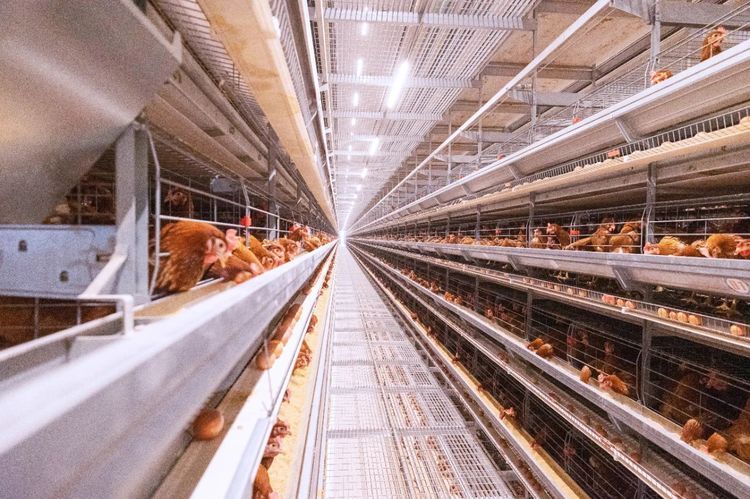 夏季來(lái)臨，使用水簾時(shí)需要注意哪些事項(xiàng)？